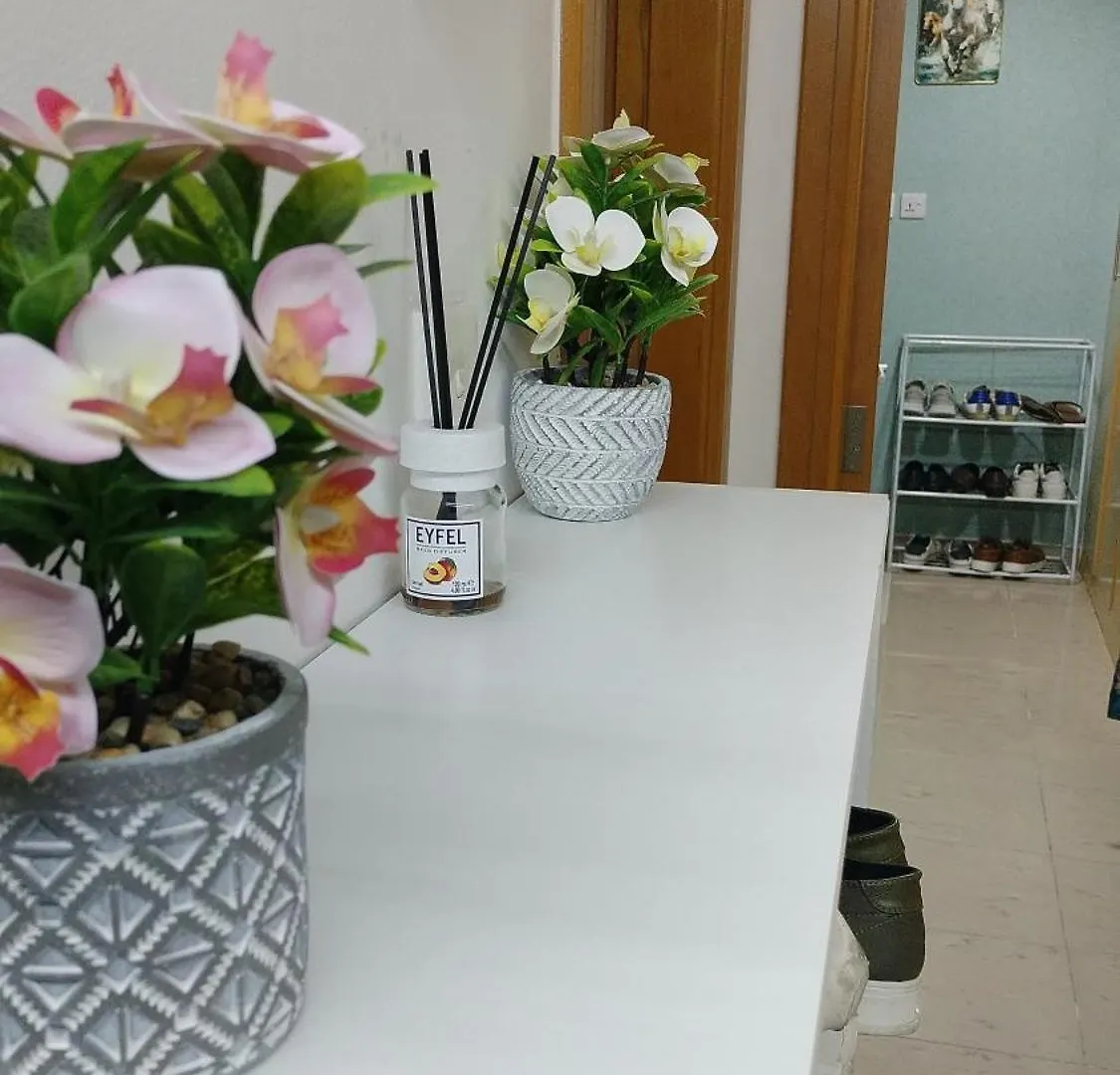 Loft And Full Partition Hostel Room Near Deira Fish Roundabout Metro Dubai